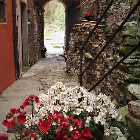 Alojamento de Acomodação e Pequeno-almoço Borgo Di Codeglia - Country *