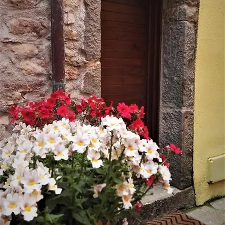 Bed and Breakfast Borgo Di Codeglia - Country *